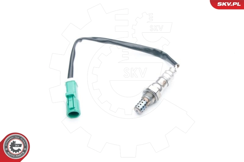 Oxygen Sensor